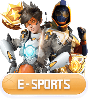 Sub Banner E Sports